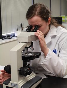 Biomedical Sciecnes student looking through a microscope
